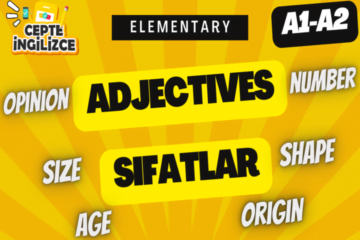 Adjectives (A1-A2)